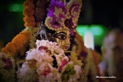 Lord Madhava